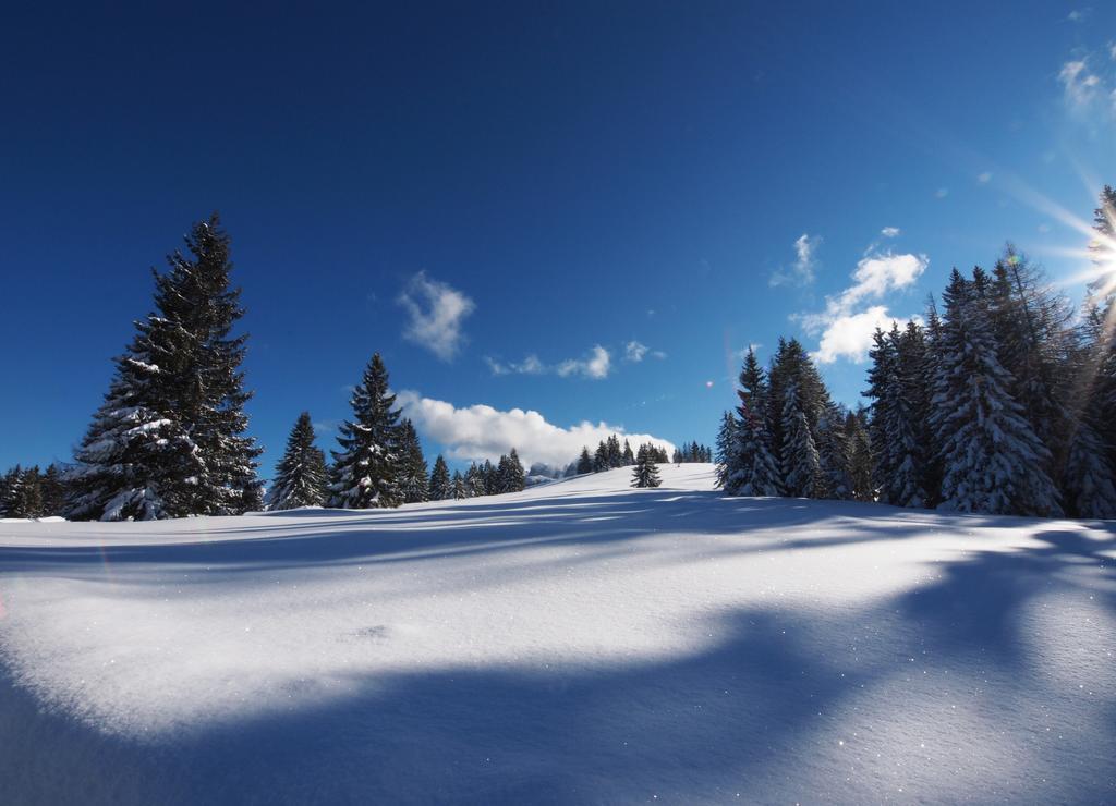Alpenapartments Unterschlag Annaberg im Lammertal Εξωτερικό φωτογραφία